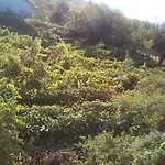 вилна зона златни пясъци, спирка ален мак * ヴァルナ
