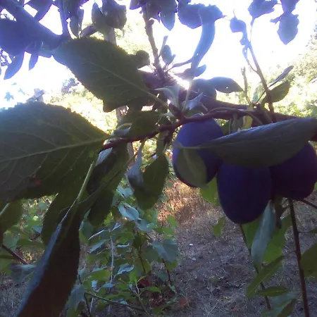 вилна зона златни пясъци, спирка ален мак Vendégház Várna