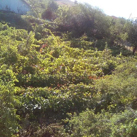 вилна зона златни пясъци, спирка ален мак * Várna