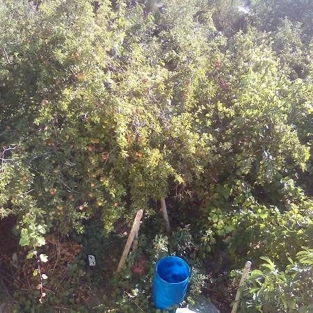 вилна зона златни пясъци, спирка ален мак Vendégház