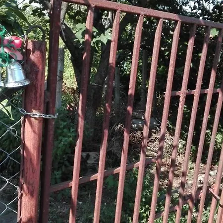 вилна зона златни пясъци, спирка ален мак Vendégház Várna