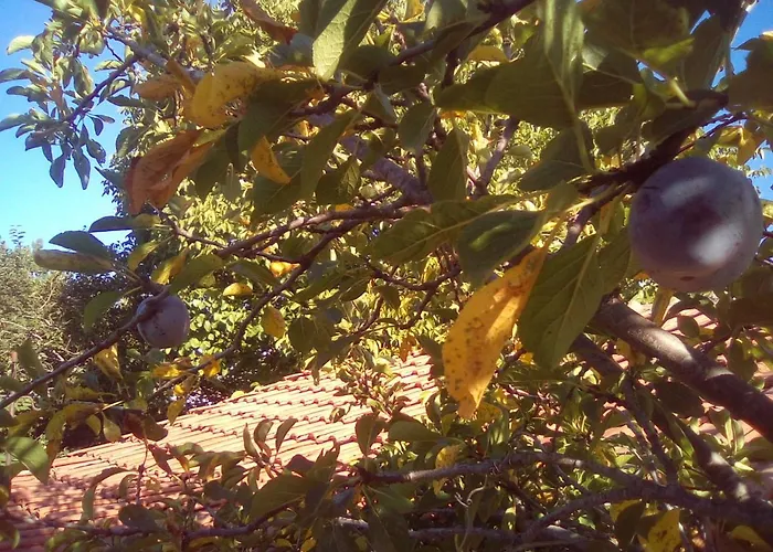 вилна зона златни пясъци, спирка ален мак Maison d'hôtes *