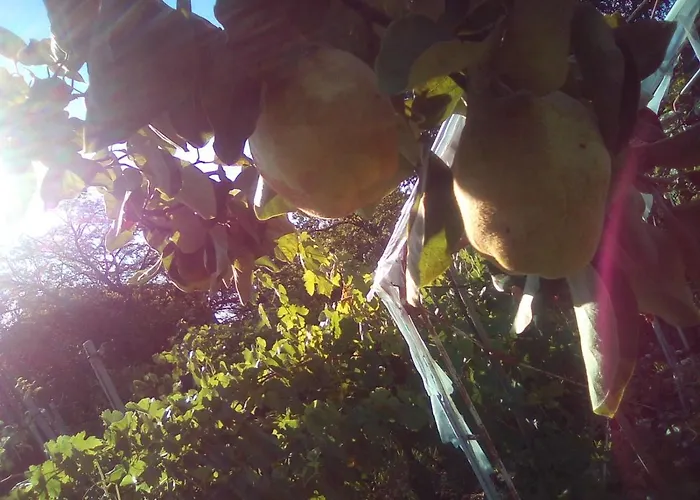 вилна зона златни пясъци, спирка ален мак Maison d'hôtes *