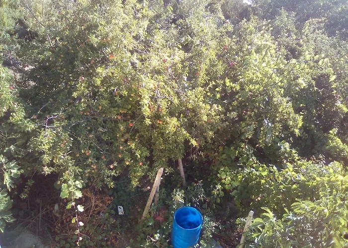 вилна зона златни пясъци, спирка ален мак Maison d'hôtes